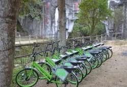 泰安景区爆料事件最新,惊现惊人内幕，游客权益如何保障？