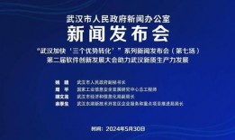 武汉日签最新爆料新闻,揭秘神秘事件背后的真相