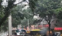 重庆公交车最新爆料,事故真相与背后故事揭晓