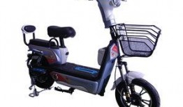 广州电动车事件最新爆料,真相再起波澜，事故原因揭秘